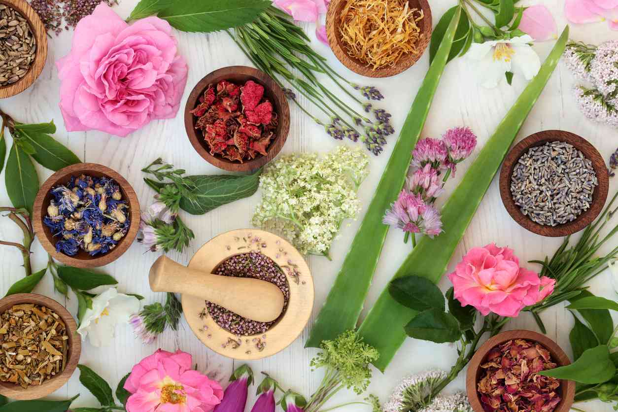 sản xuất mỹ phẩm thiên nhiên