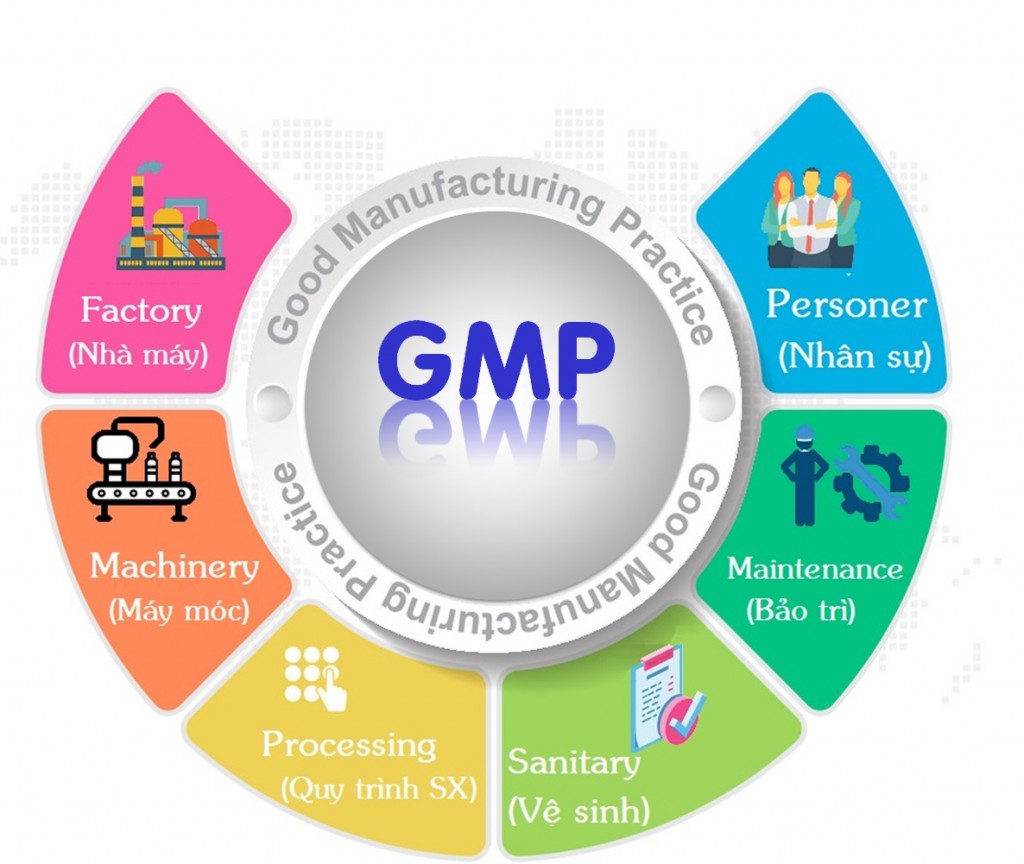 So sánh GMP mỹ phẩm và GMP dược