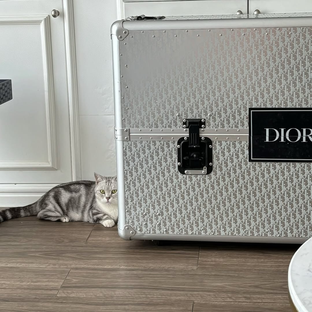 VietnamCleanroom