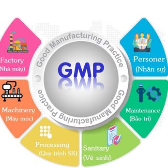 So sánh GMP mỹ phẩm và GMP dược