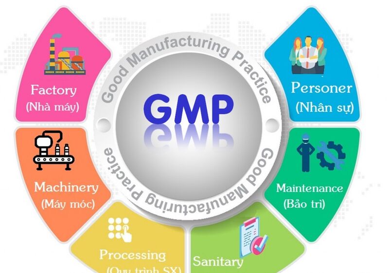 So sánh GMP mỹ phẩm và GMP dược